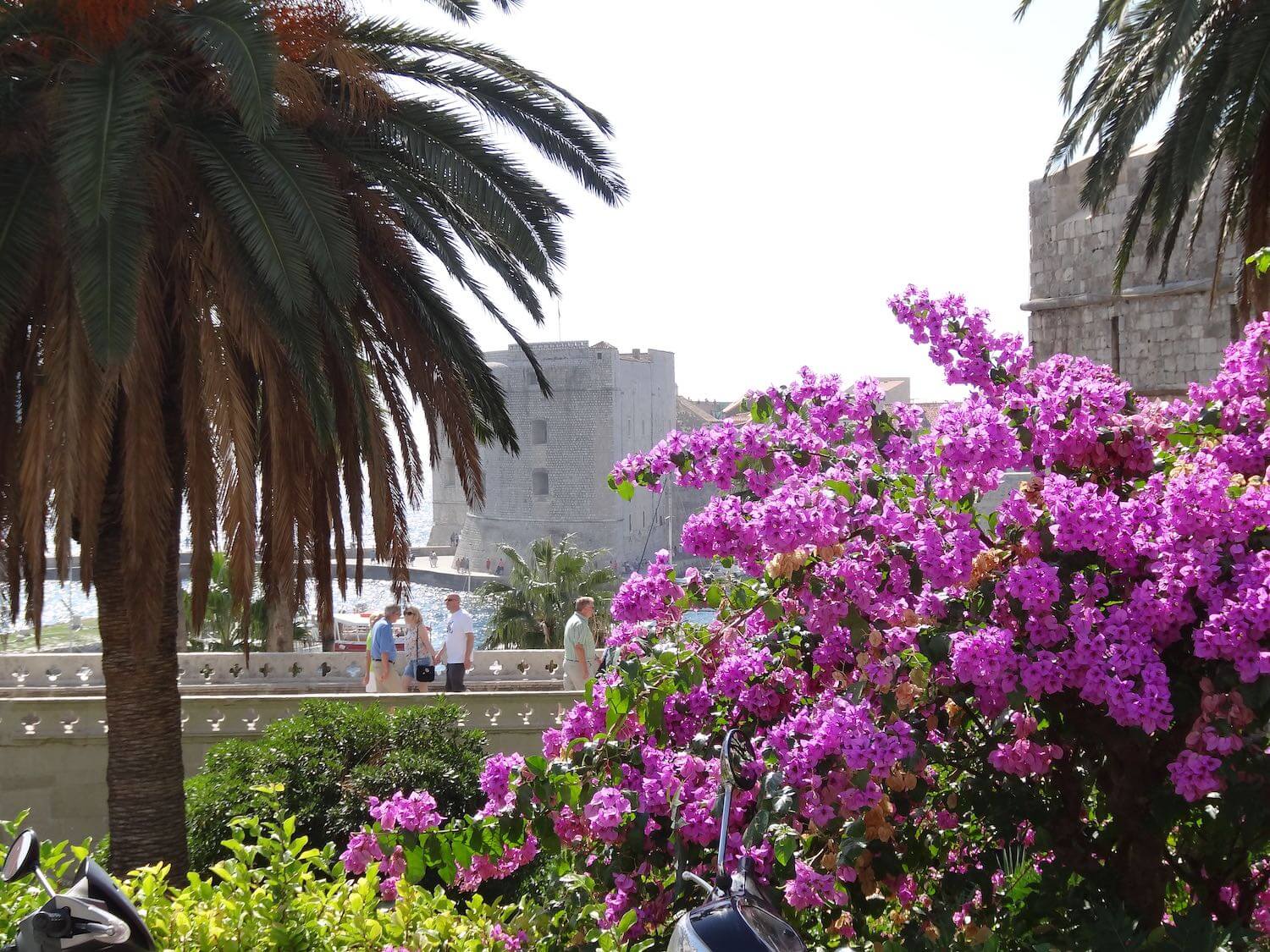 What Do You Need to Know About Croatia? The FAQs