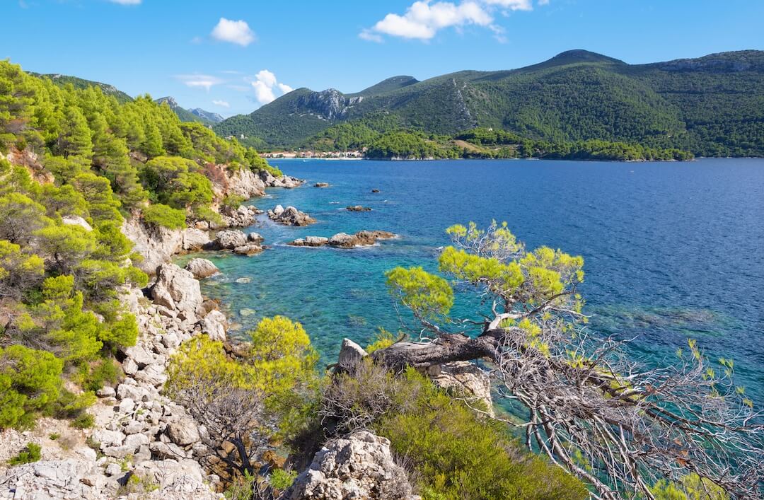 Our PERFECT vacation! Croatia Awaits Jelena Vrancic