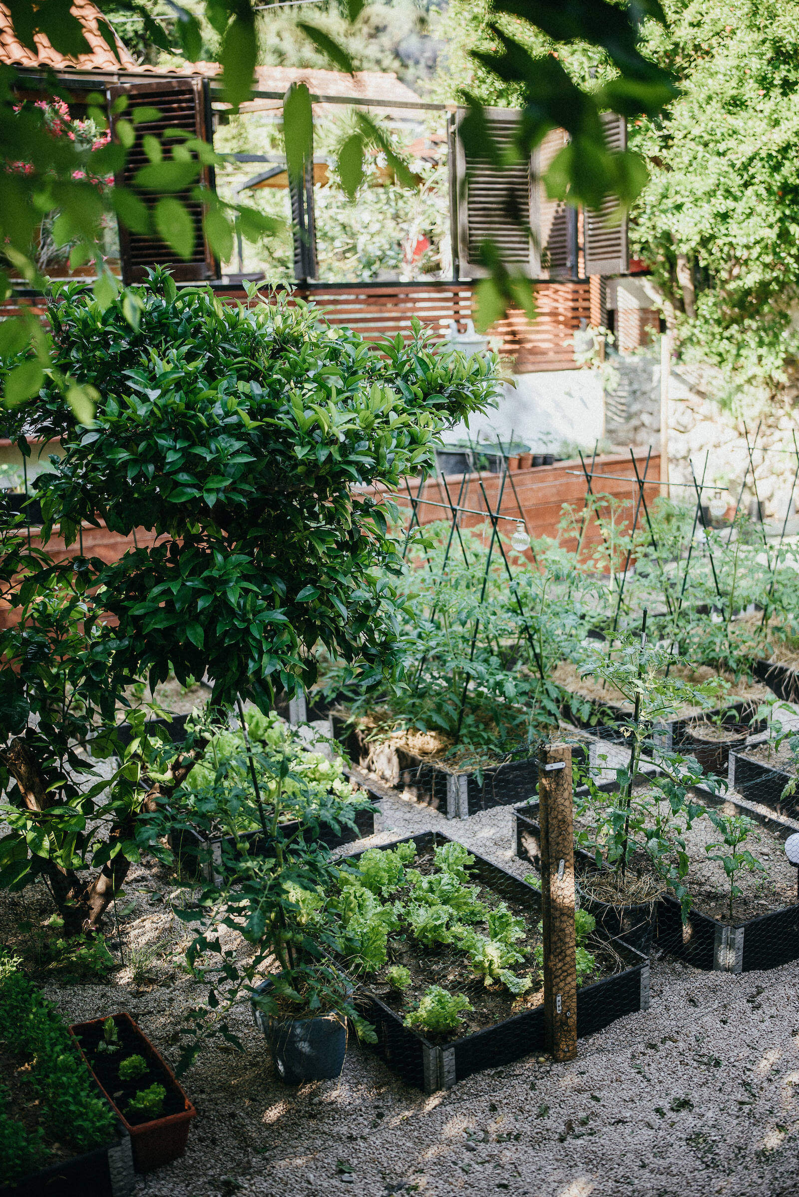 Jardin cooking food wine experience Croatia Awaits Jelena Vrancic4